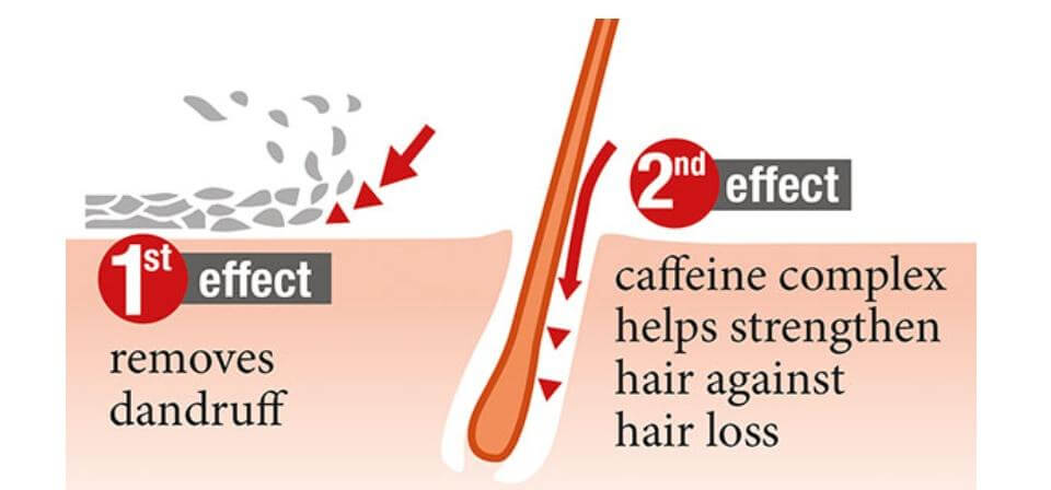 Alpecin Double-Effect Caffeine Shampoo (200ml) - Dr.Wolff SEA